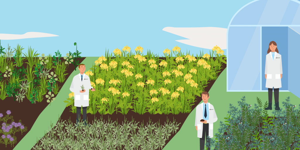 Vidéo motion design RAGT couverts végétaux