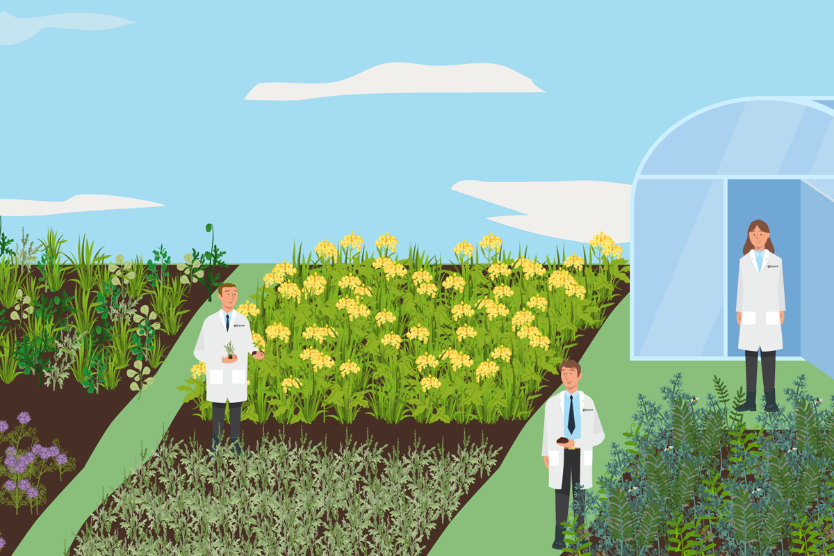 You are currently viewing RAGT – Motion Design Couverts végétaux